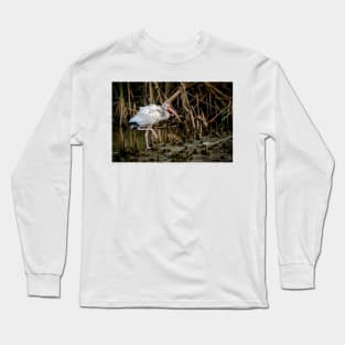 Immature White Ibis On The Move Long Sleeve T-Shirt